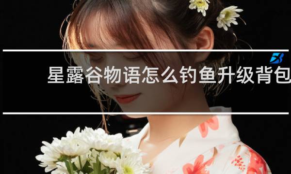 星露谷物语怎么钓鱼升级背包