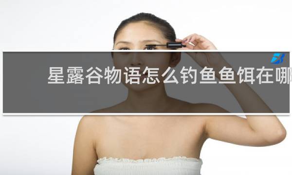 星露谷物语怎么钓鱼鱼饵在哪