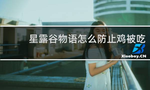 星露谷物语怎么防止鸡被吃