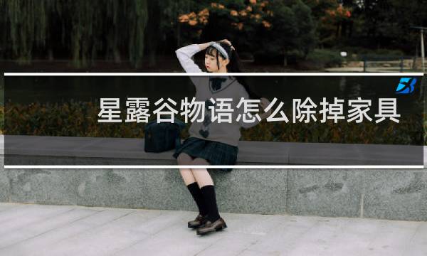 星露谷物语怎么除掉家具