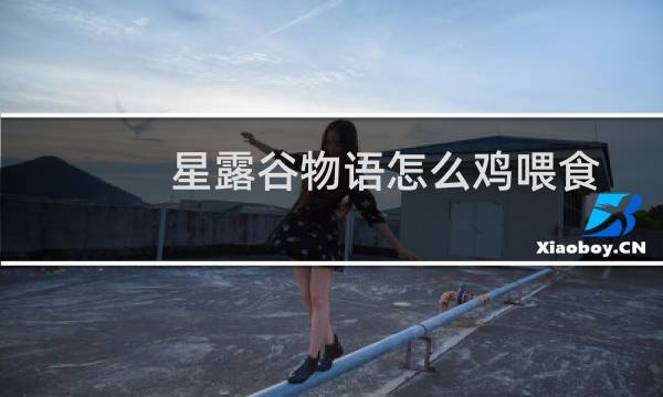 星露谷物语怎么鸡喂食
