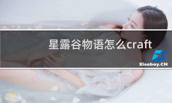 星露谷物语怎么craft