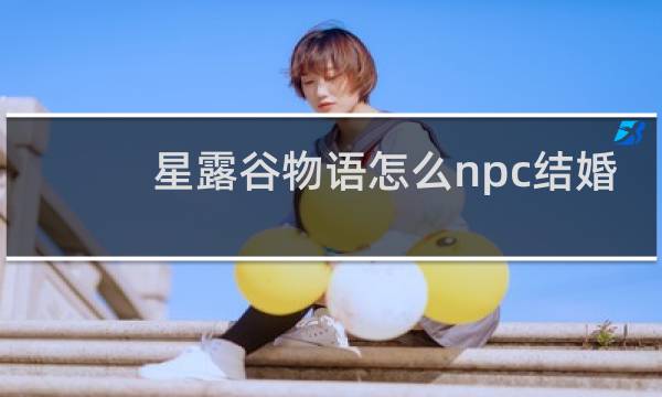 星露谷物语怎么npc结婚