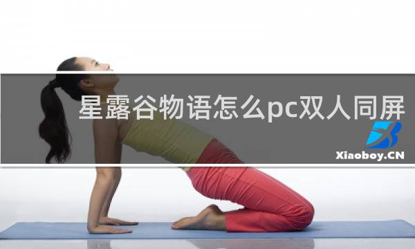 星露谷物语怎么pc双人同屏