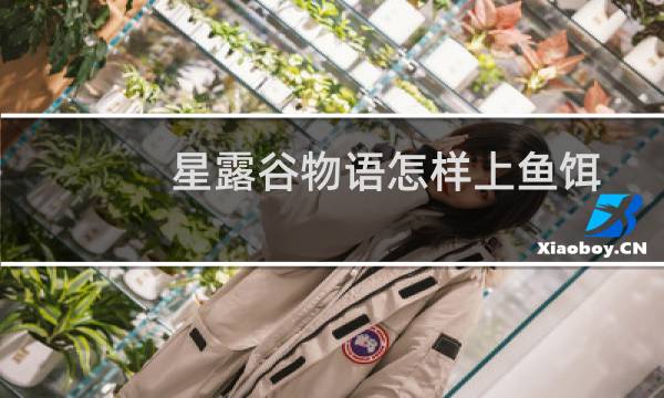 星露谷物语怎样上鱼饵