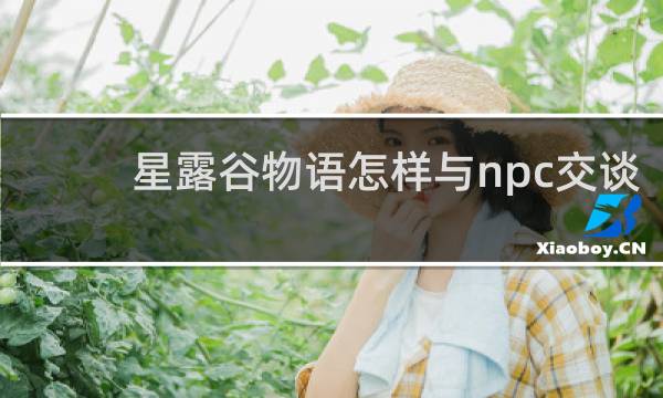 星露谷物语怎样与npc交谈