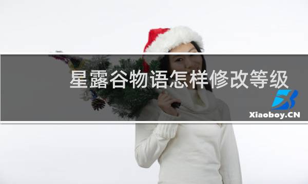 星露谷物语怎样修改等级