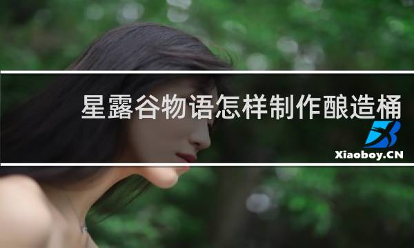 星露谷物语怎样制作酿造桶