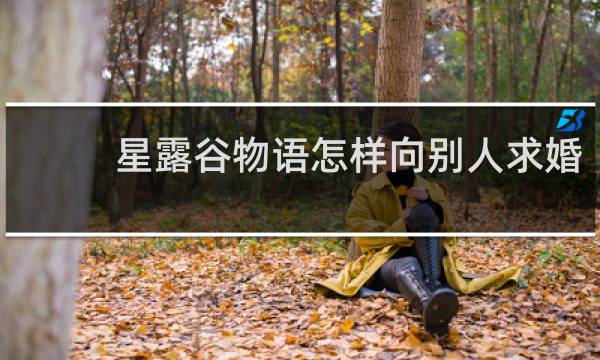 星露谷物语怎样向别人求婚