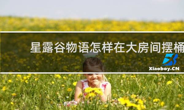 星露谷物语怎样在大房间摆桶