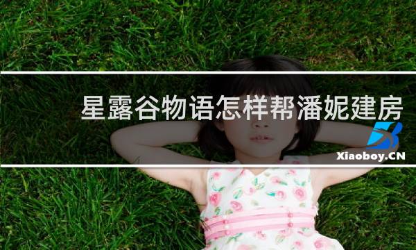 星露谷物语怎样帮潘妮建房