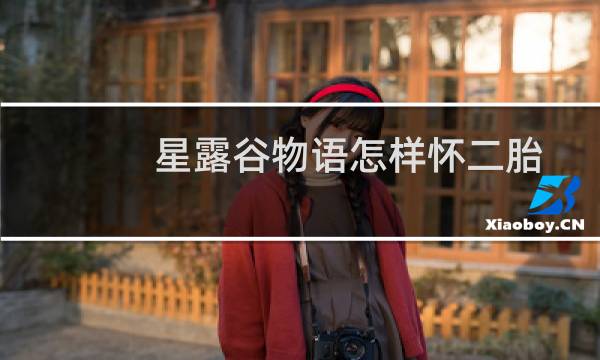 星露谷物语怎样怀二胎