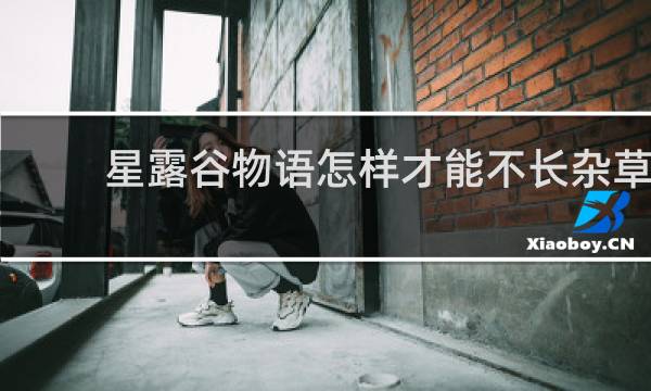 星露谷物语怎样才能不长杂草