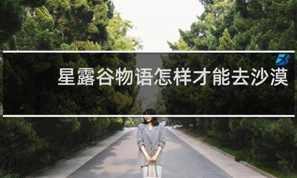 星露谷物语怎样才能去沙漠