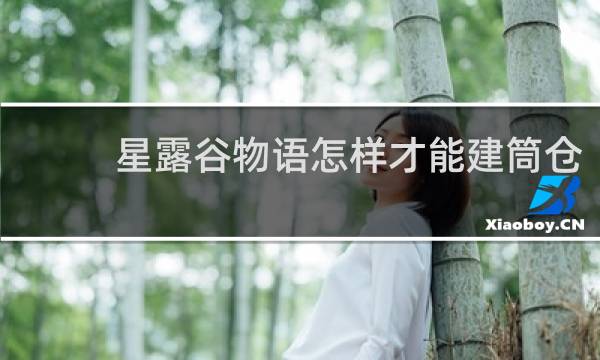 星露谷物语怎样才能建筒仓