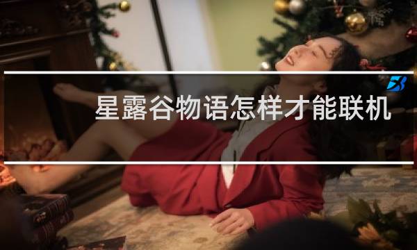 星露谷物语怎样才能联机