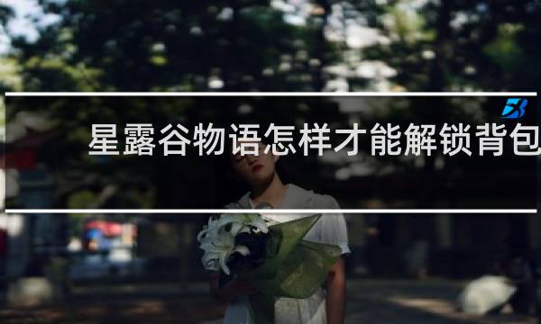 星露谷物语怎样才能解锁背包