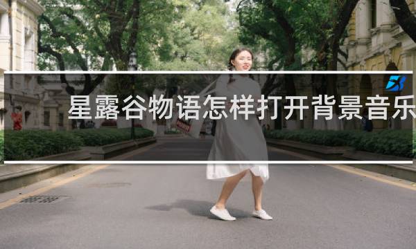 星露谷物语怎样打开背景音乐