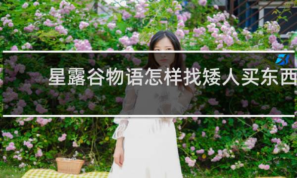 星露谷物语怎样找矮人买东西