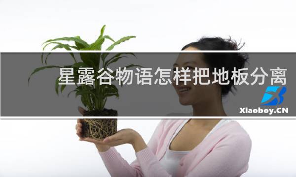 星露谷物语怎样把地板分离