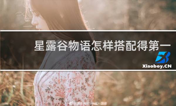 星露谷物语怎样搭配得第一