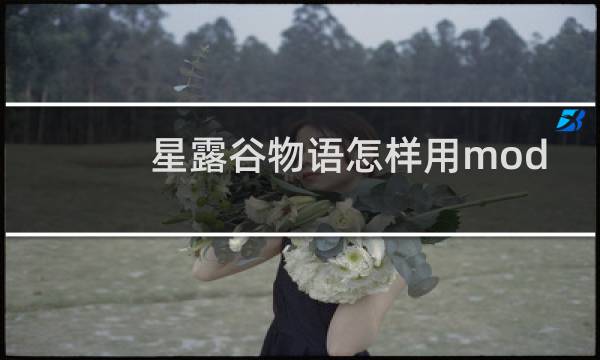 星露谷物语怎样用mod