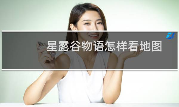 星露谷物语怎样看地图