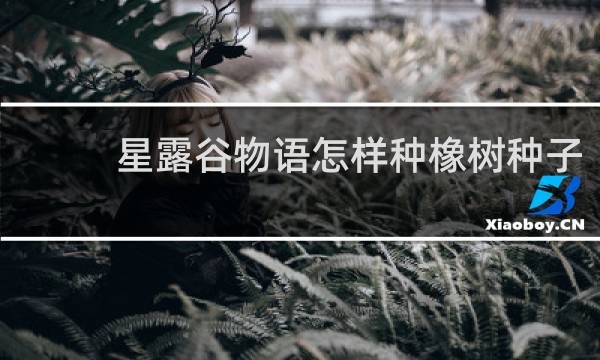 星露谷物语怎样种橡树种子