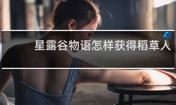 星露谷物语怎样获得稻草人