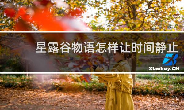 星露谷物语怎样让时间静止