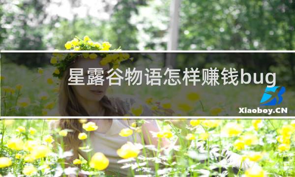 星露谷物语怎样赚钱bug