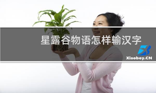 星露谷物语怎样输汉字