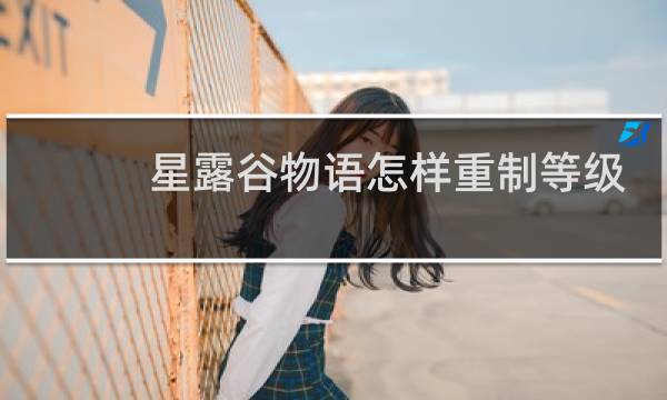 星露谷物语怎样重制等级