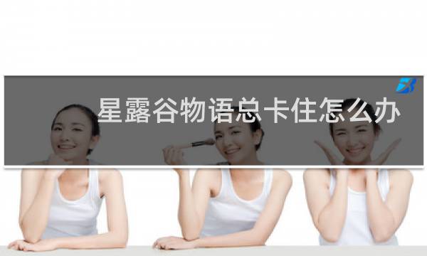 星露谷物语总卡住怎么办