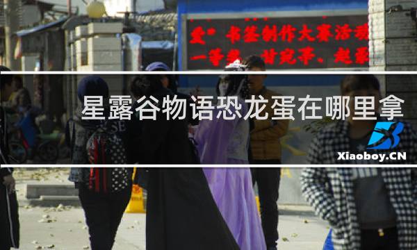 星露谷物语恐龙蛋在哪里拿