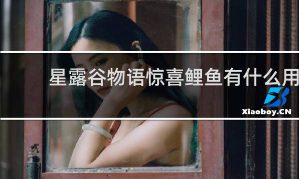 星露谷物语惊喜鲤鱼有什么用