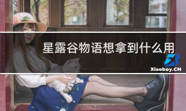 星露谷物语想拿到什么用