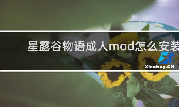 星露谷物语成人mod怎么安装