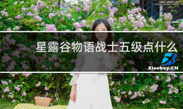 星露谷物语战士五级点什么