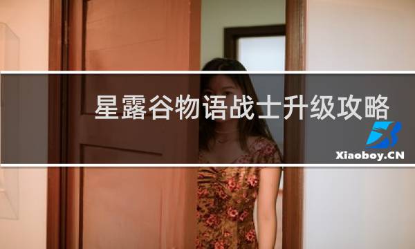 星露谷物语战士升级攻略