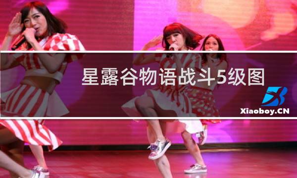 星露谷物语战斗5级图