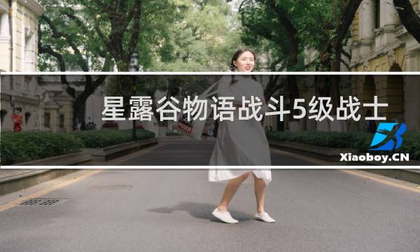 星露谷物语战斗5级战士