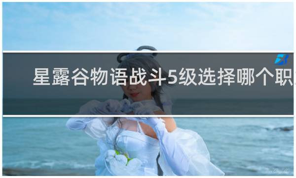 星露谷物语战斗5级选择哪个职业