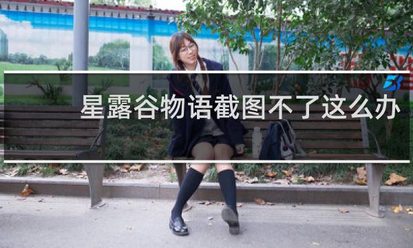 星露谷物语截图不了这么办