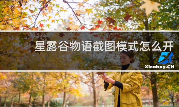 星露谷物语截图模式怎么开