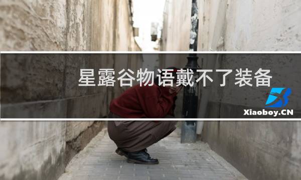 星露谷物语戴不了装备