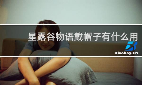 星露谷物语戴帽子有什么用