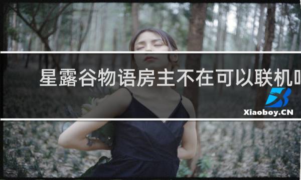星露谷物语房主不在可以联机吗
