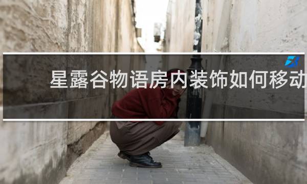 星露谷物语房内装饰如何移动