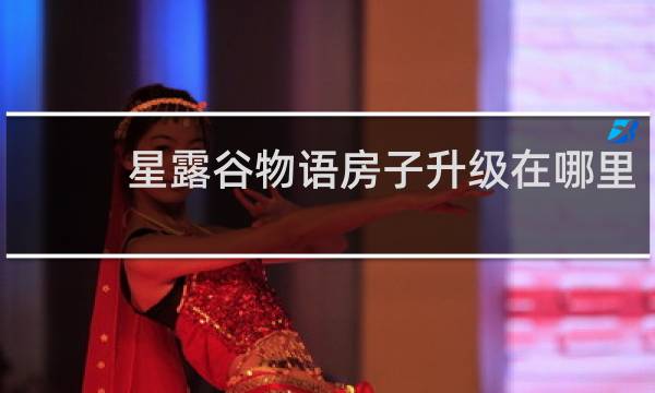 星露谷物语房子升级在哪里